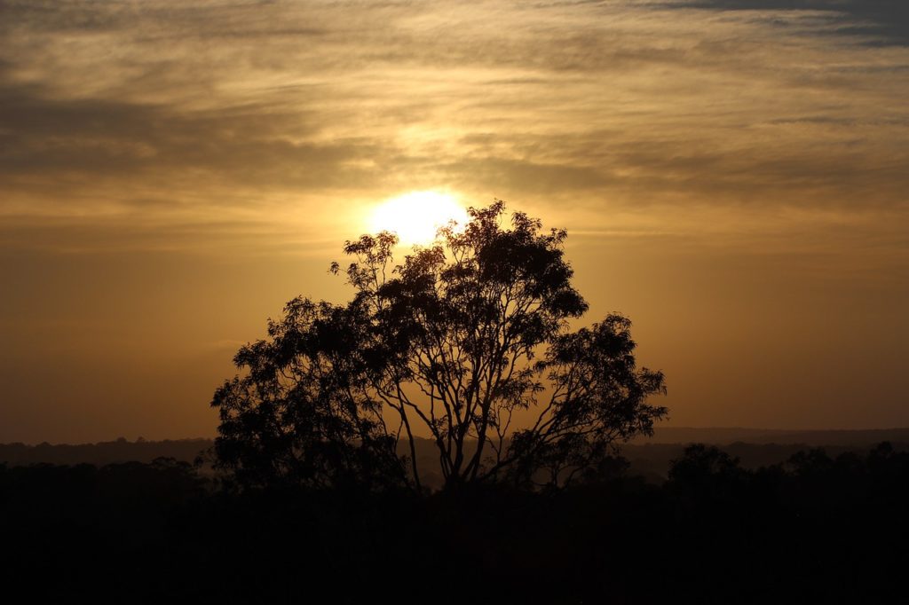 hunter valley australien