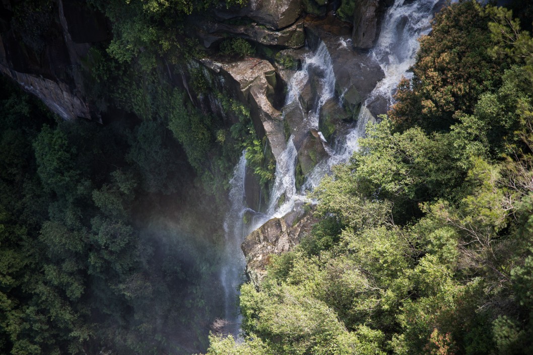 blue mountains national park wasserfall im regenwald